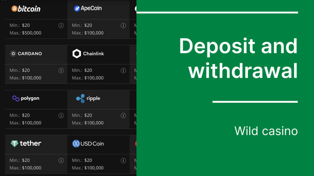 Wild casino Deposit and withdrawal