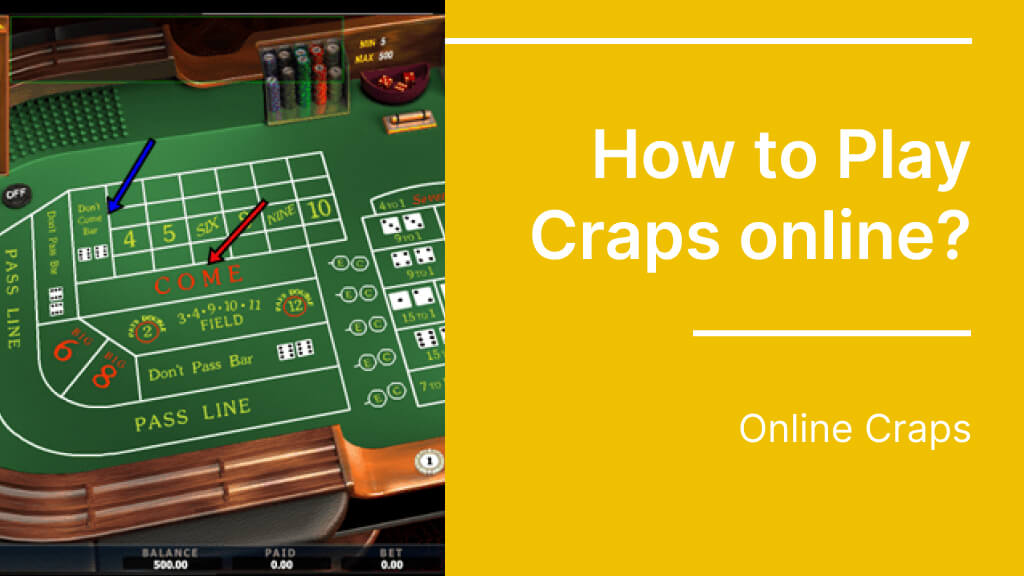 How to Play Craps online?