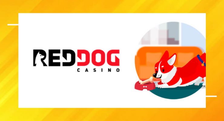 Beginning a fascinating review Red Dog Casino